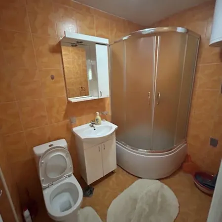 Renome Banja Koviljača