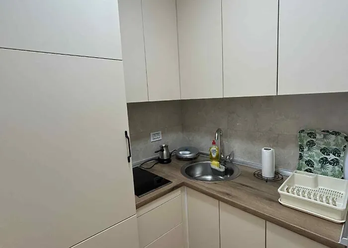 Renome Banja Koviljača