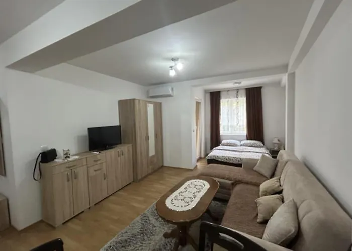 Renome Apartament Banja Koviljača