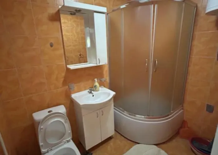 Renome Banja Koviljača