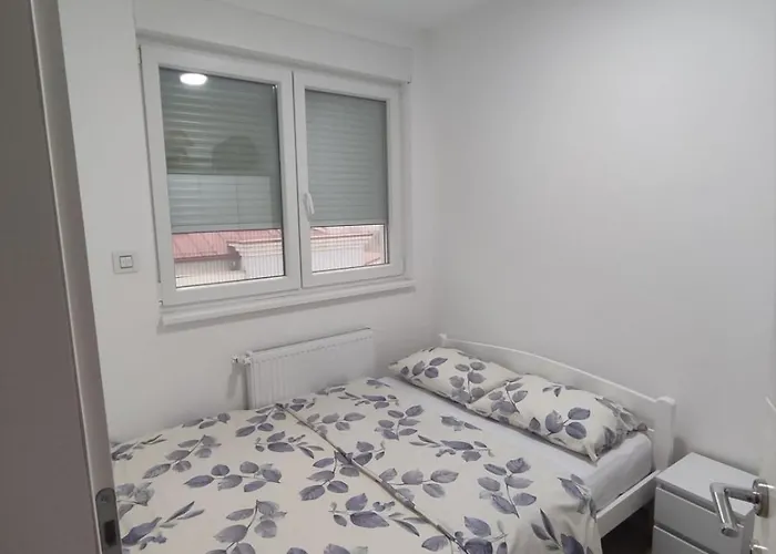 Renome Banja Koviljača