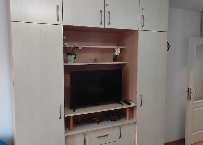 Apartament Renome Banja Koviljača